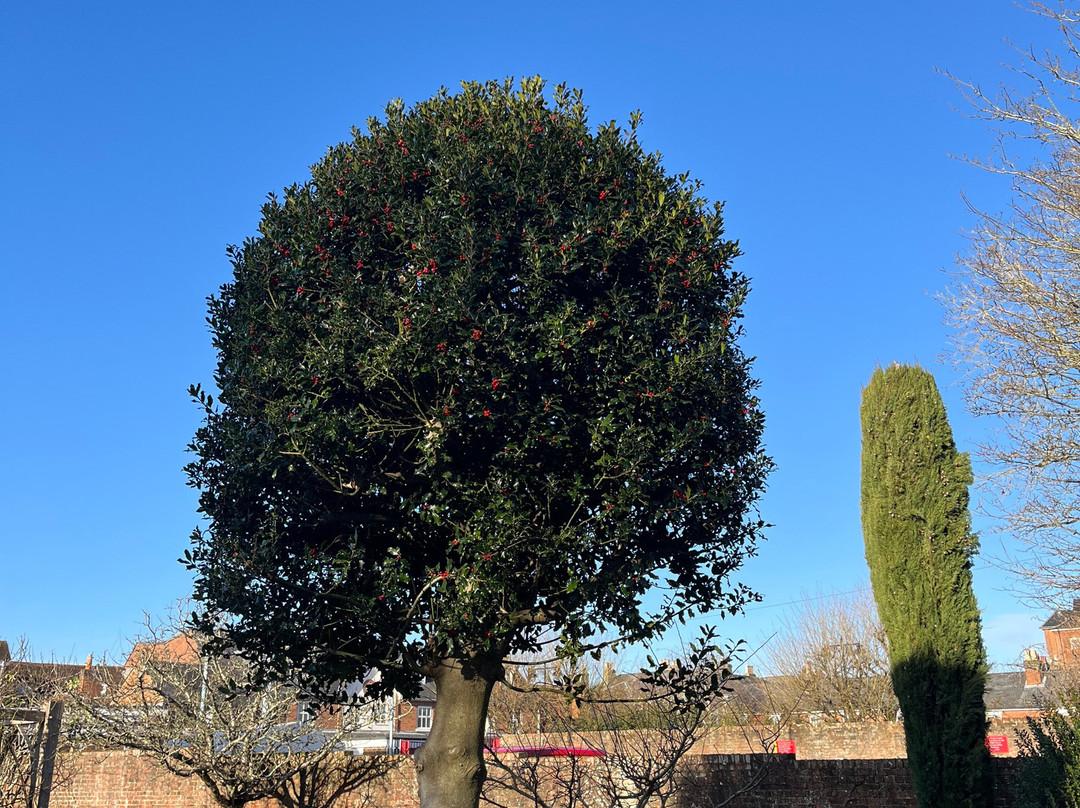 King John’s House and Museum-罗姆西必去景点