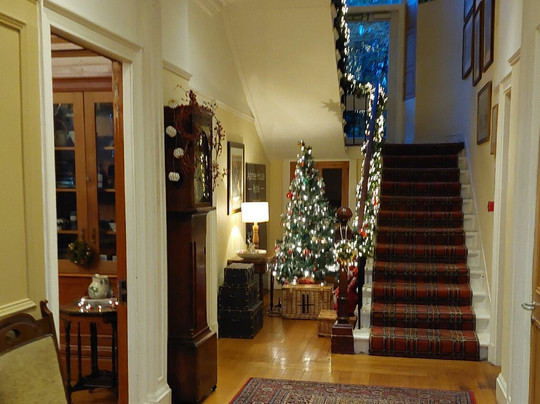 白蜡树别墅酒店主图