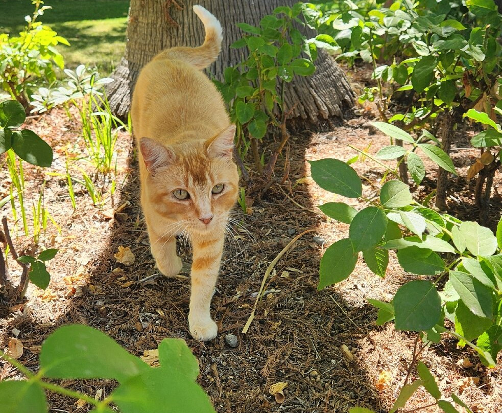 La Perla Hotel主图