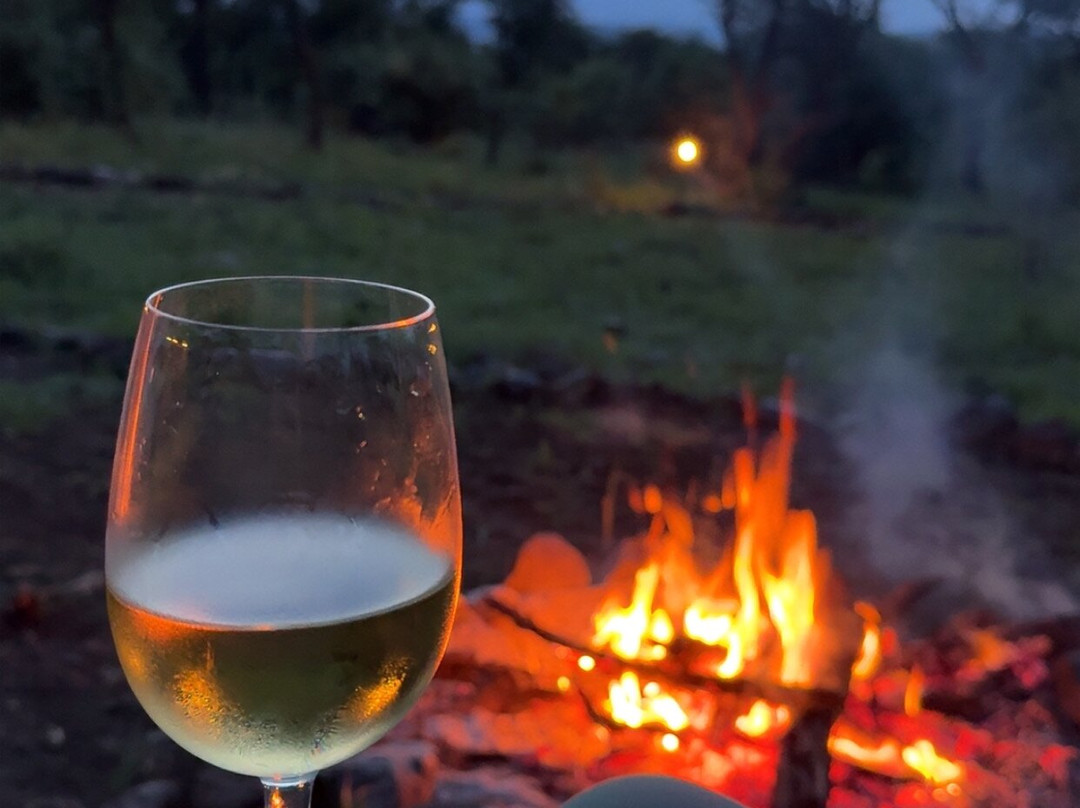 Mbuni Tented Camps-Seronera必去景点