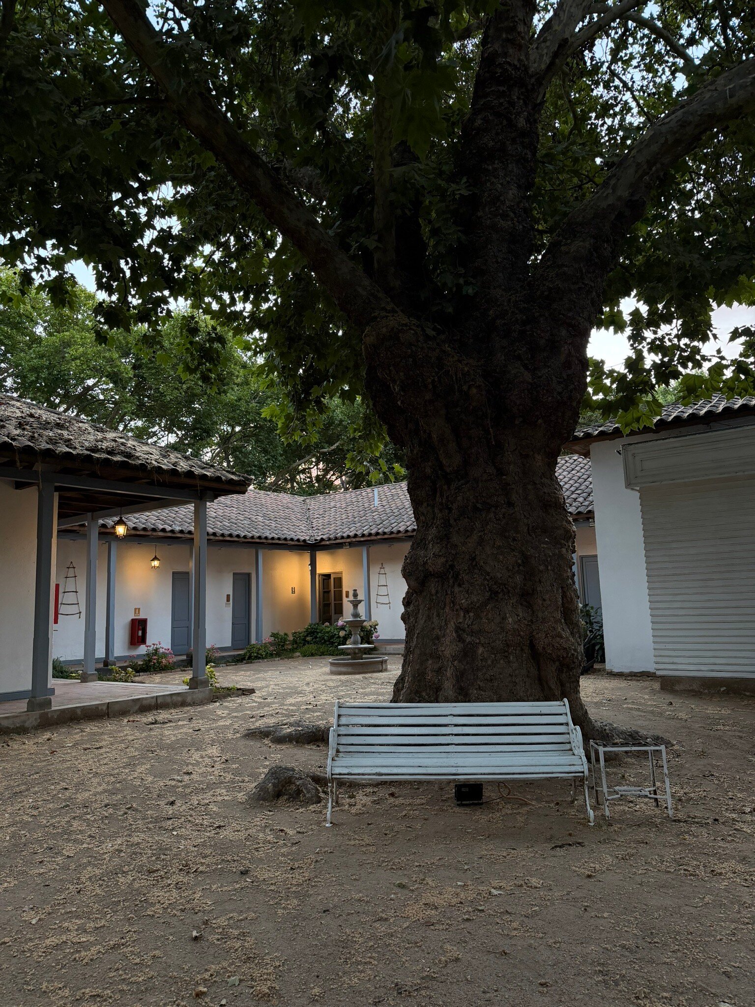 Noi Blend Colchagua-官方