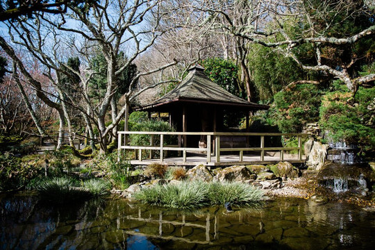 The Japanese Garden-St. Mawgan必去景点