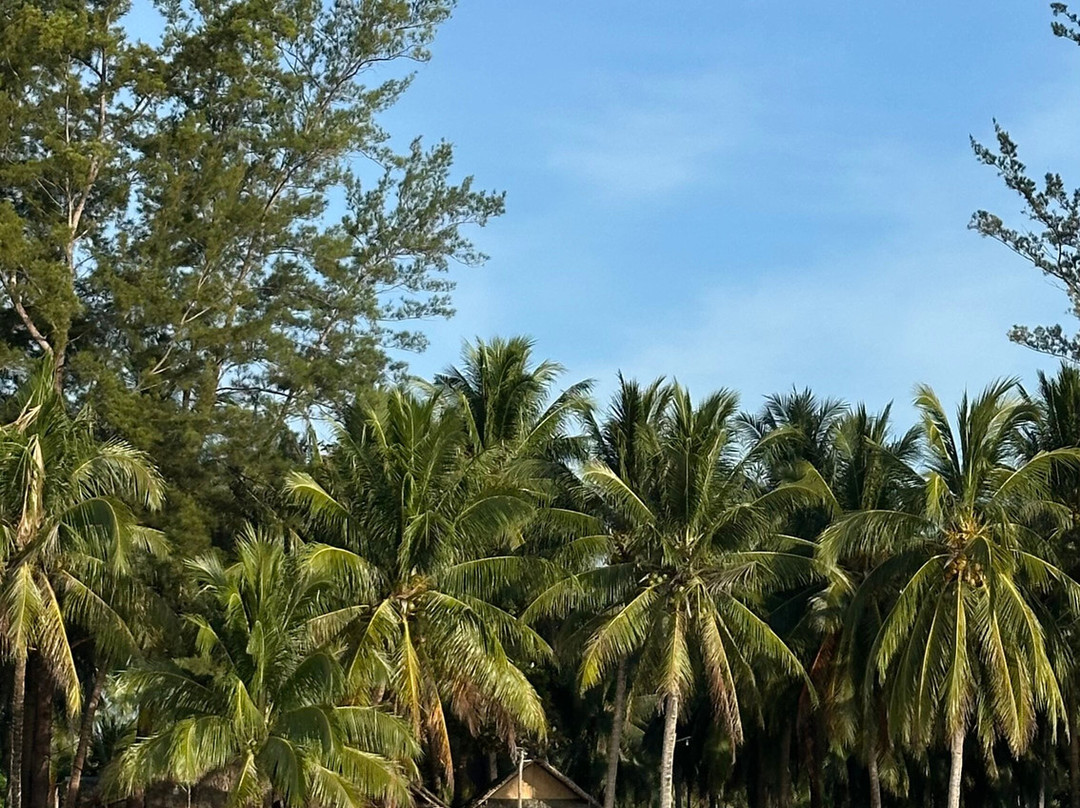 Balabac Tour By The Wanderwalkers-巴拉巴克必去景点