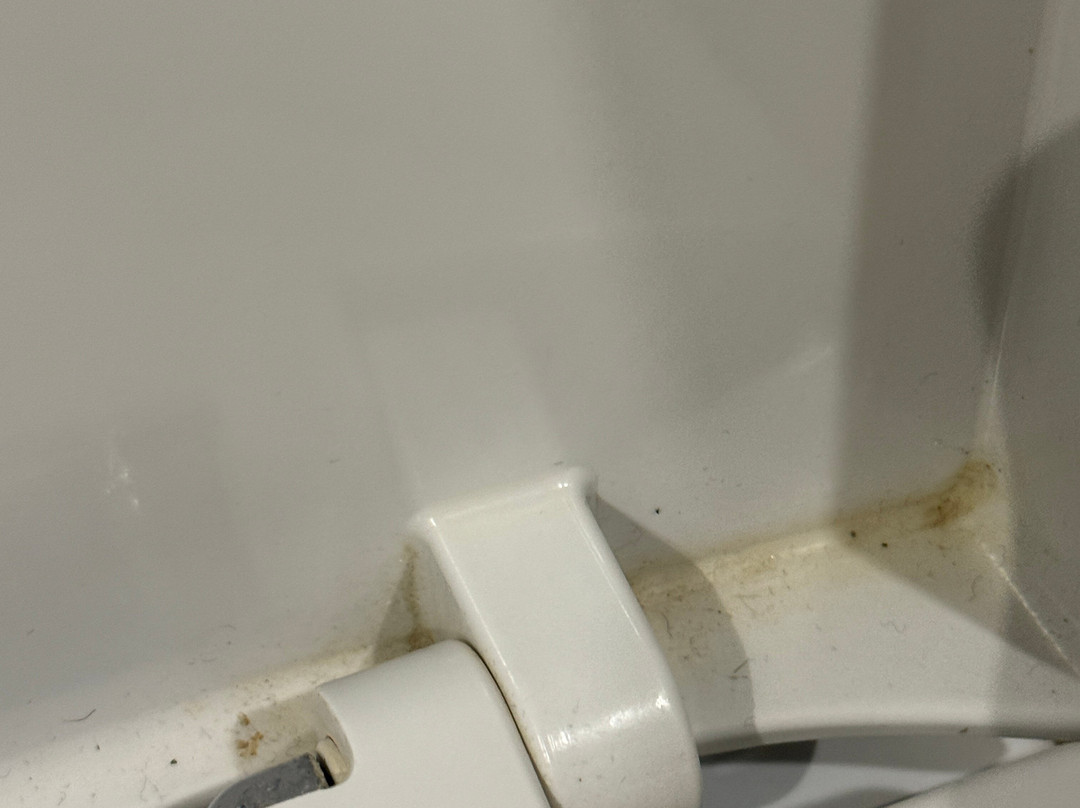 Jordan Experience tours-安曼必去景点