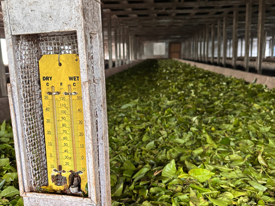 Munnar Info-慕那尔必去景点