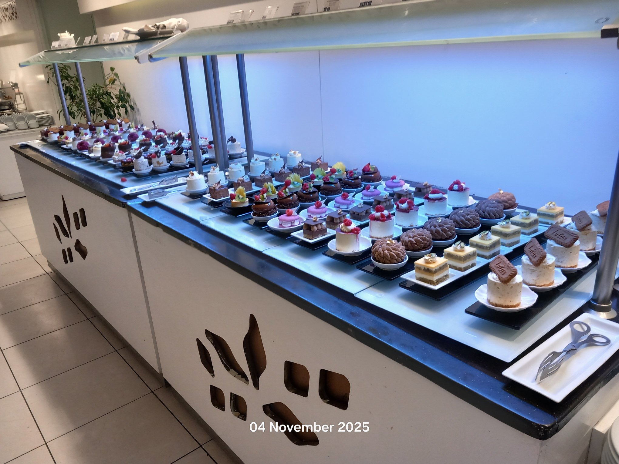 TUI Blue Scheherazade-官方