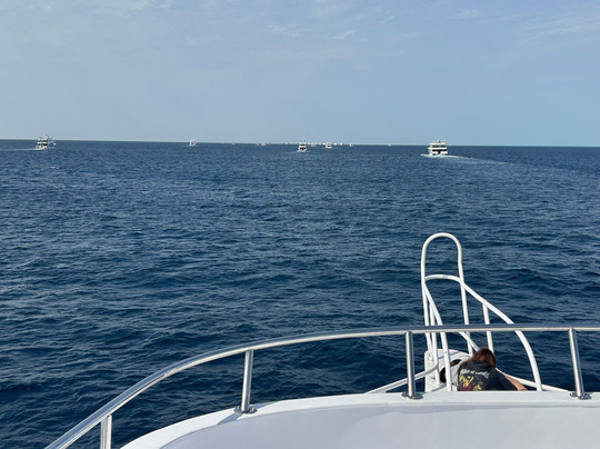 Cinderella Eldawley - Diving Center-沙姆沙伊赫必去景点