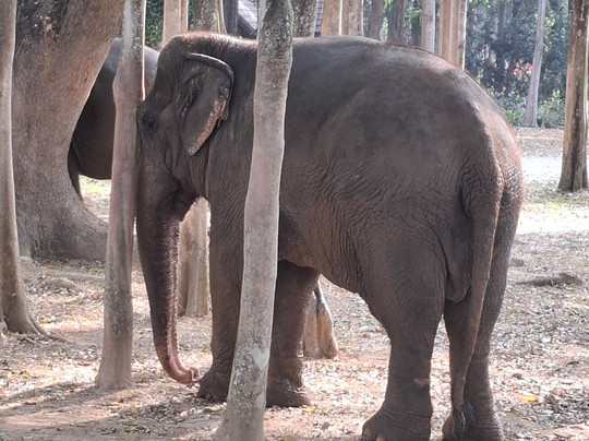 Somboon Legacy Foundation-Klon Do必去景点