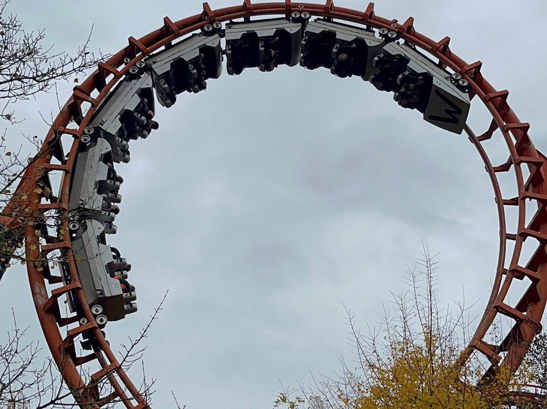 Walygator Grand Est-Maizieres-les-Metz必去景点