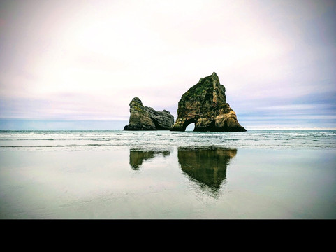 Wild Kiwi Tours-奥克兰中心地区必去景点