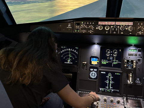 AviaSim Lyon-Villeurbanne必去景点