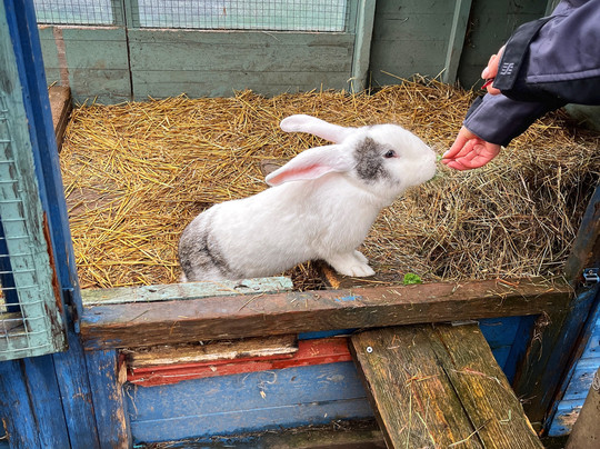 Middle England Farm Alpacas-Henley in Arden必去景点
