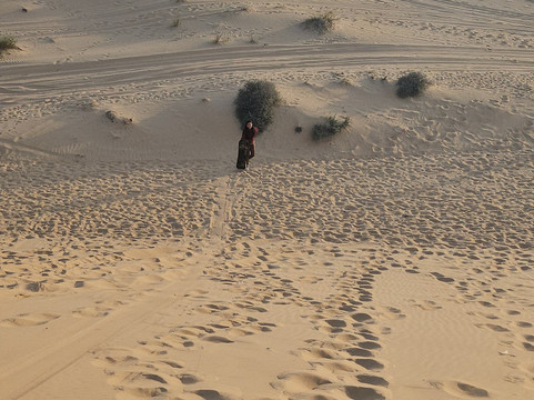 Abu Dhabi Desert Safari-阿布扎比必去景点