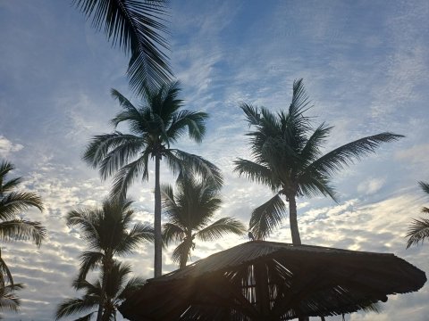 印坦巴全包式太平洋度假村-泳池