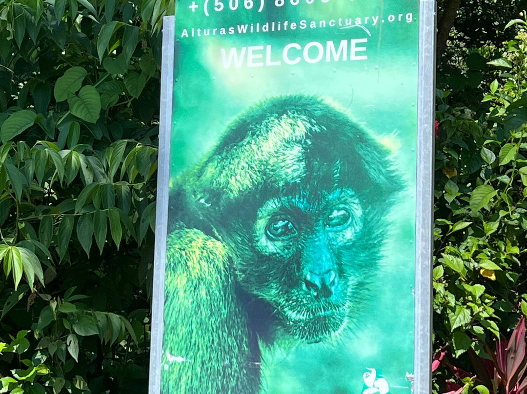 Alturas Wildlife Sanctuary-主日镇必去景点