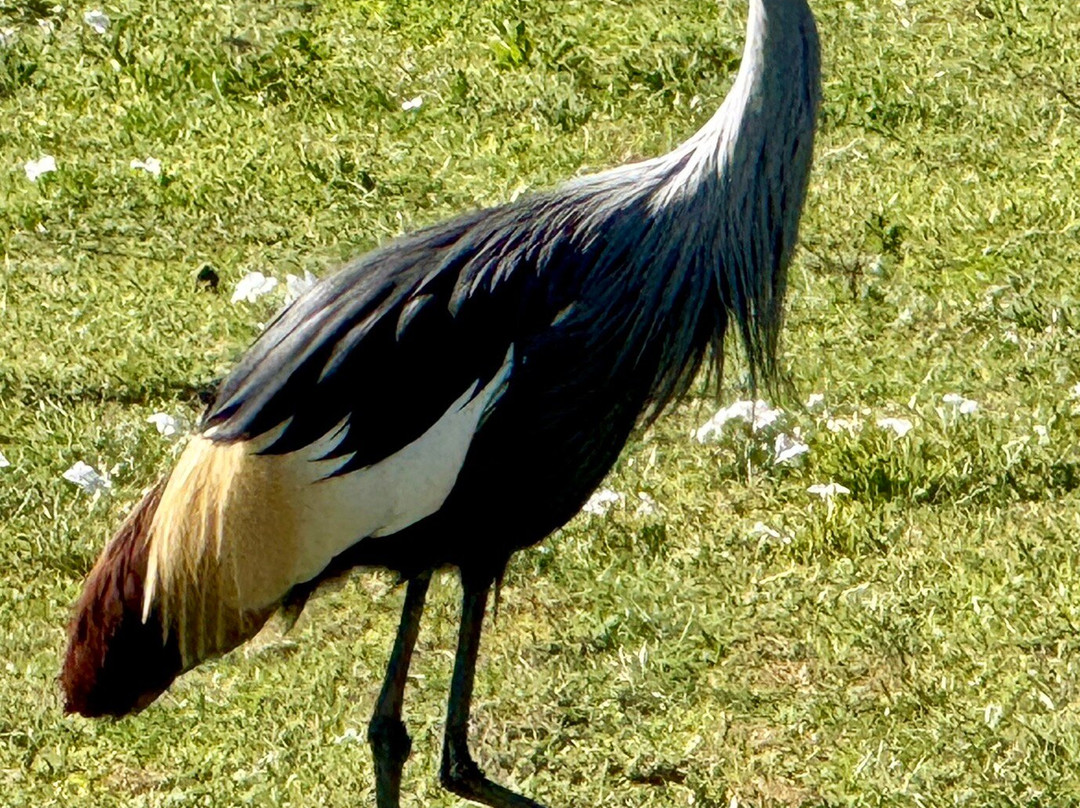Takims Holidays-阿鲁沙必去景点