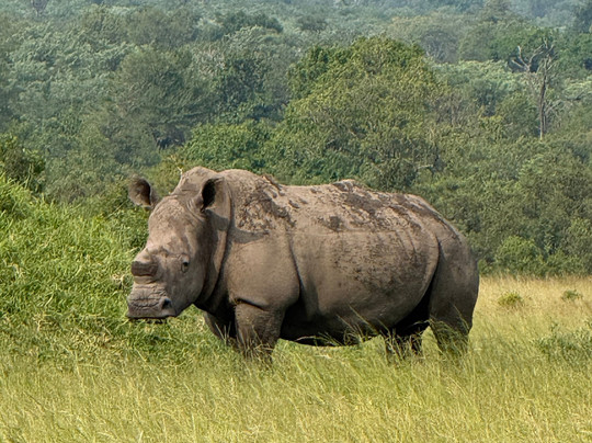 SAFARI.COM-开普敦中心区必去景点