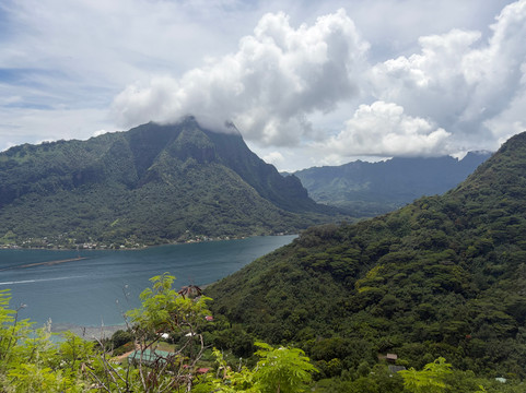 Albert ATV Fun Tours-莫雷阿岛必去景点