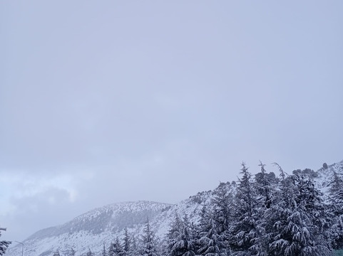 West Davraz Hotel主图