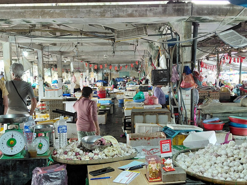 Hoi An Eco Cooking Tour Discovery-会安必去景点