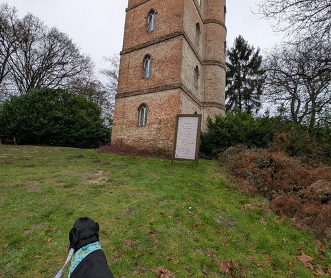 Painshill-科巴姆必去景点