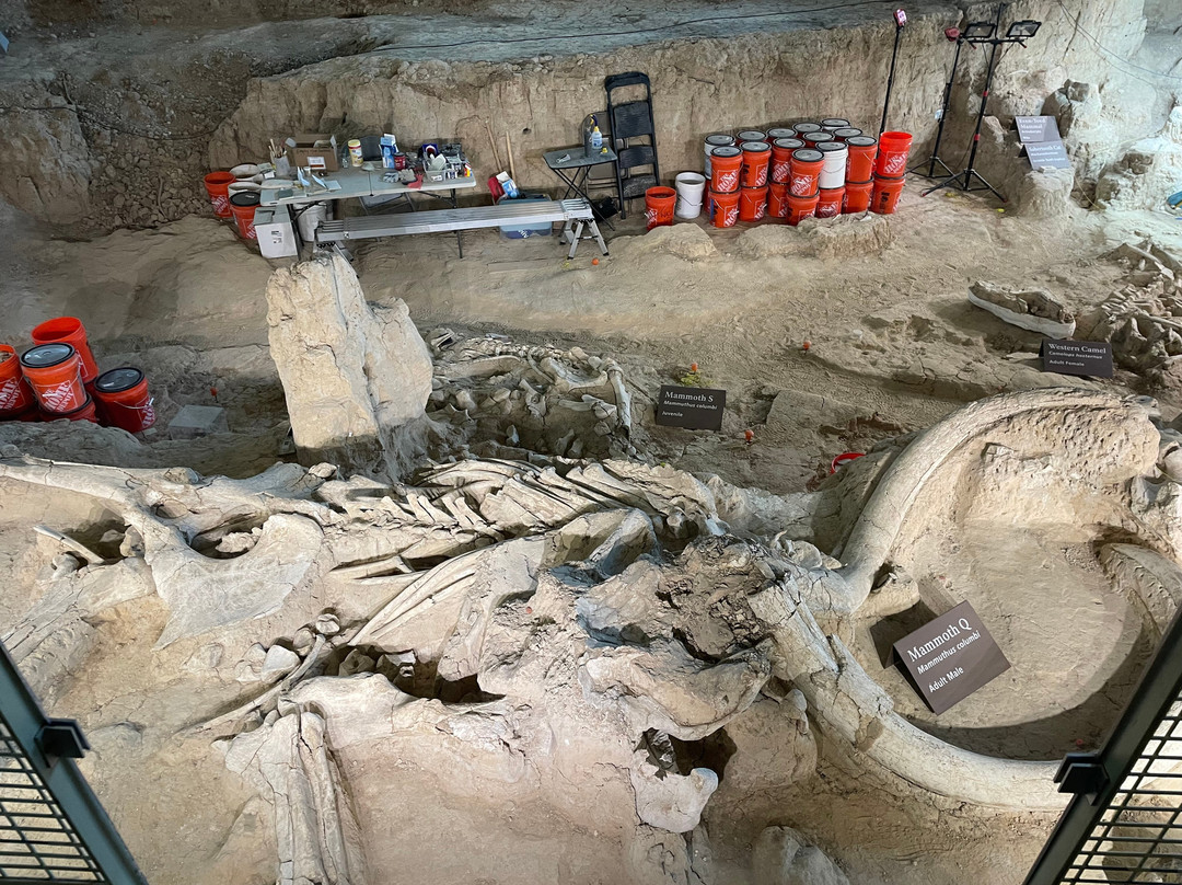 Waco Mammoth National Monument-韦科必去景点