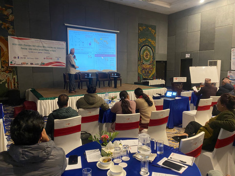 Soaltee Westend Premier主图