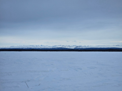 Snowhook Adventure Guides of Alaska-Willow必去景点