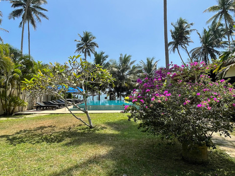 Lanka Beach Bungalows主图