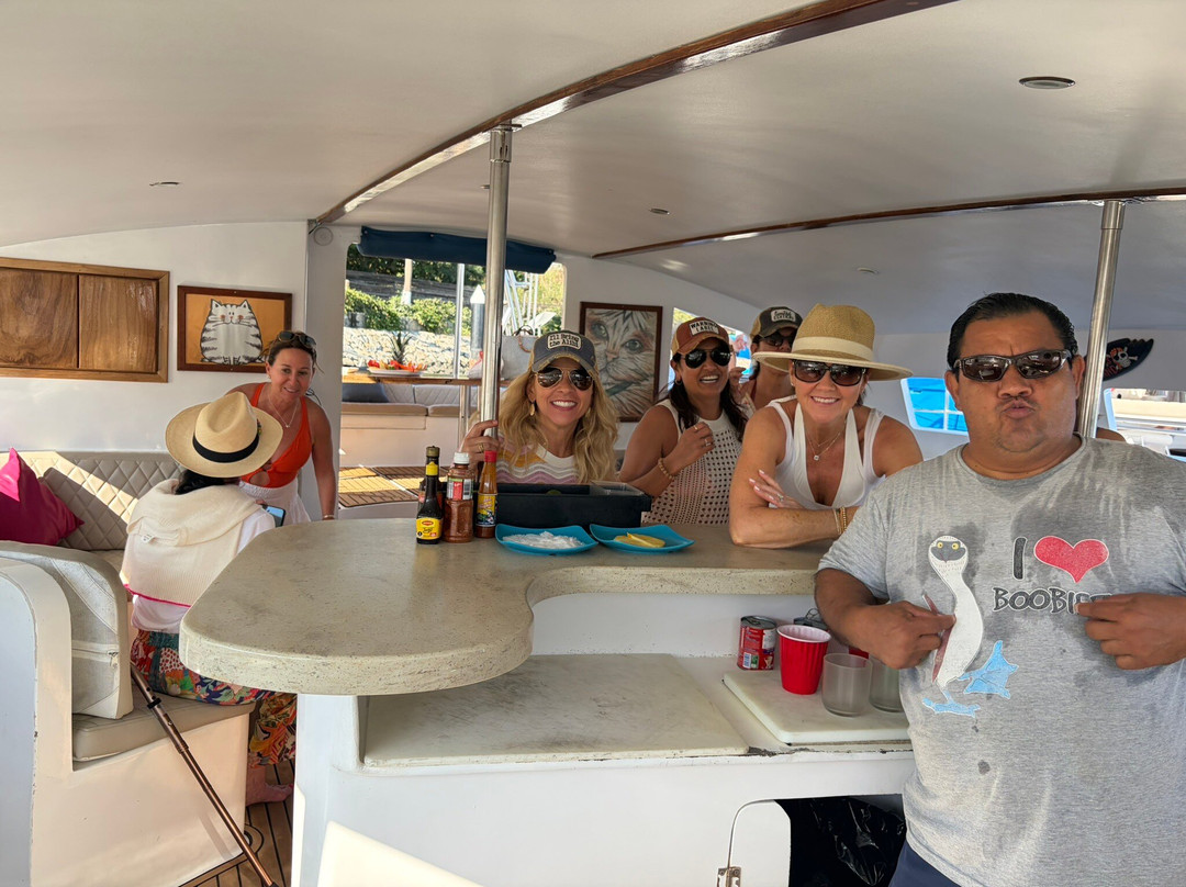 Ally Cat Sailing Adventures-利他必去景点