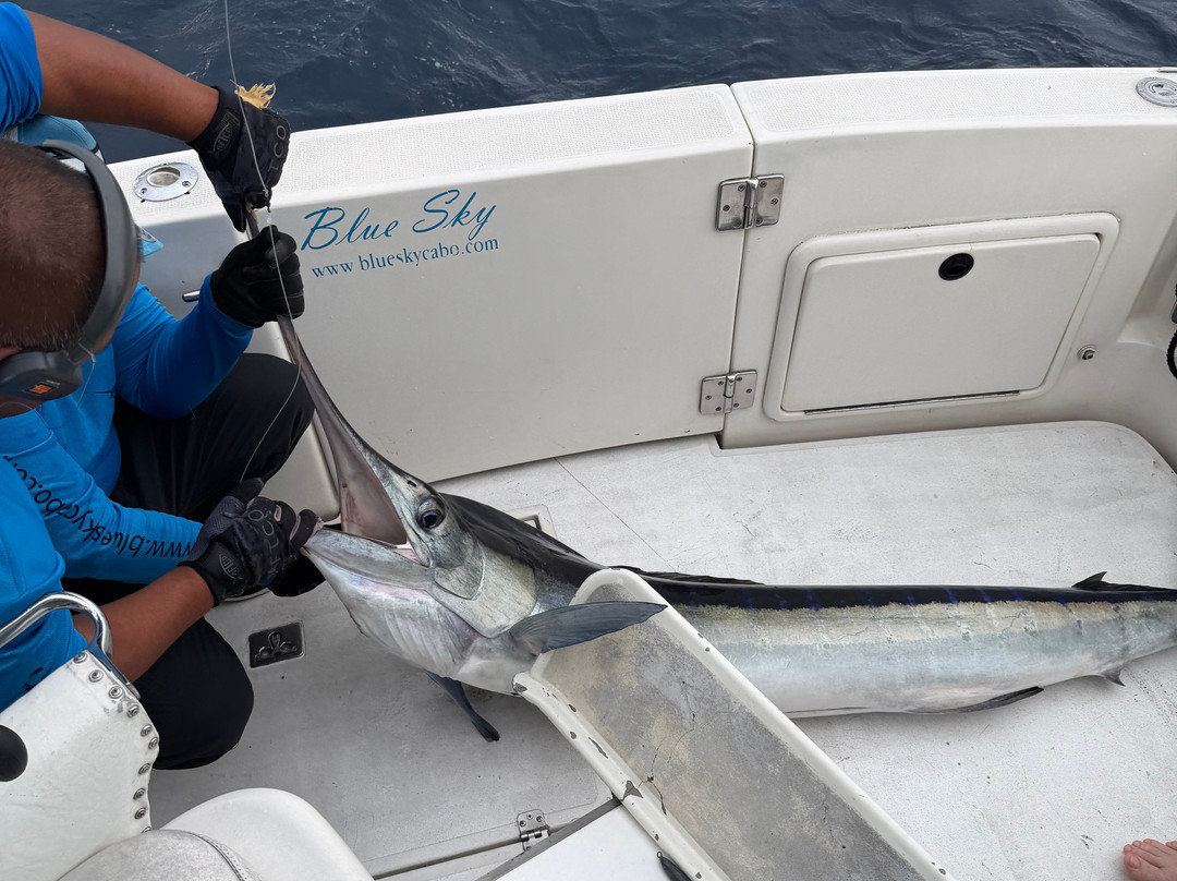 Blue Sky Cabo Fishing and Tours-卡波圣卢卡斯必去景点