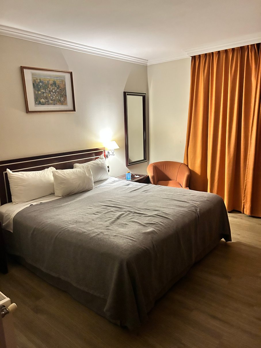 迭戈阿尔马格罗瓦尔迪维亚酒店-客卧