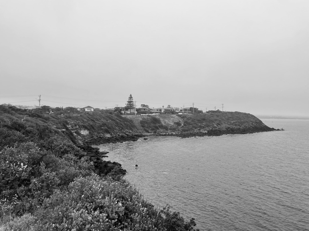 Linley Point-莫宁顿必去景点