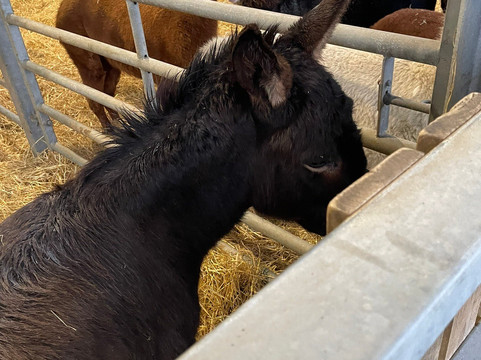 Farm Stop-Portlethen必去景点