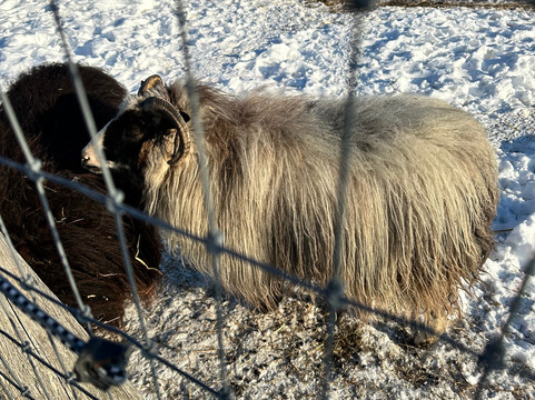 野花农场，Auberge Resorts Collection主图