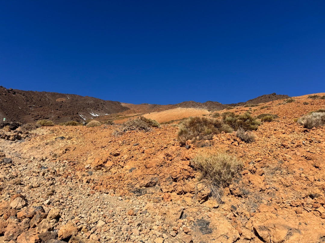 Teneriffa Kreaktiv - Day Tours-圣克鲁斯-德特内里费必去景点