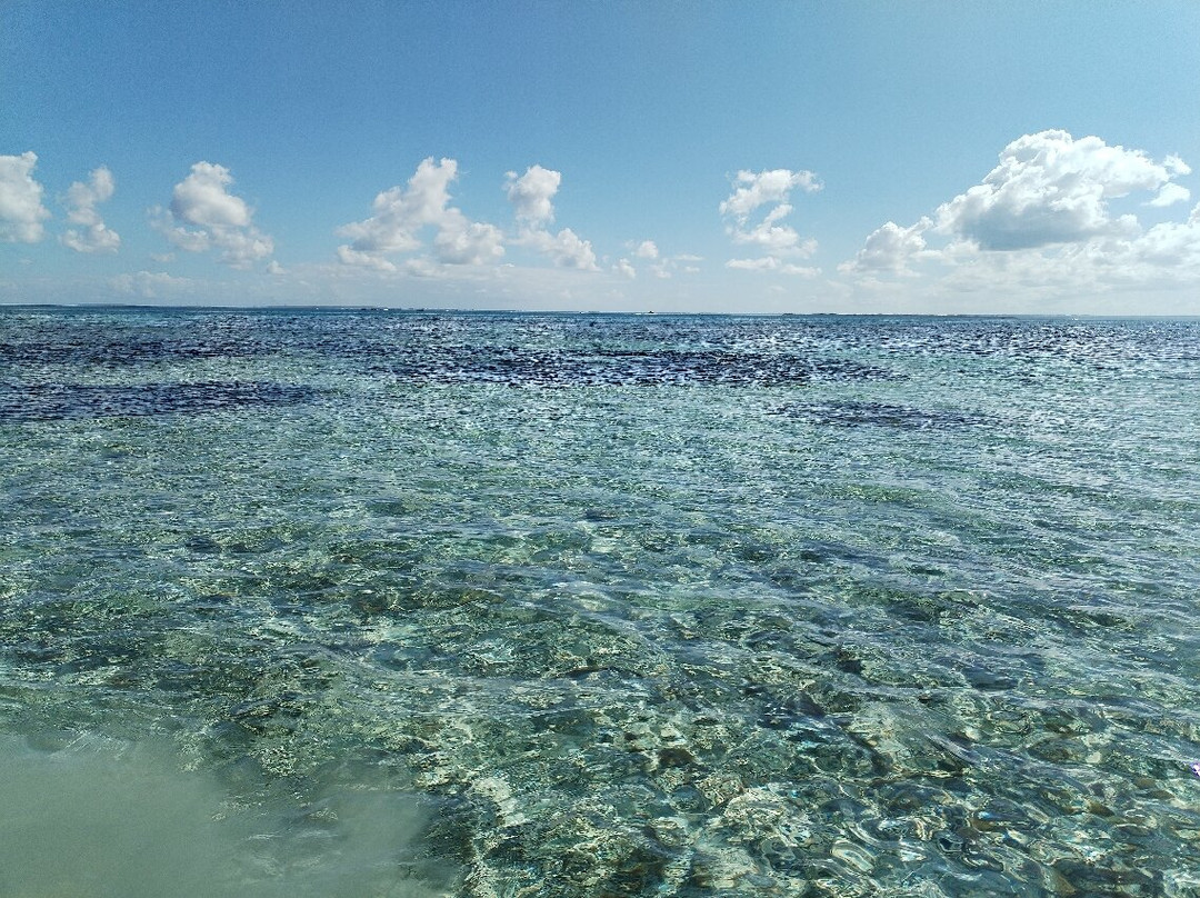 Nico Excursions-Sainte Rose必去景点