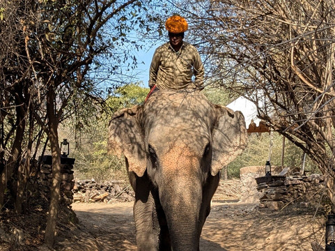 Dera Amer Wilderness Camp-Amer必去景点