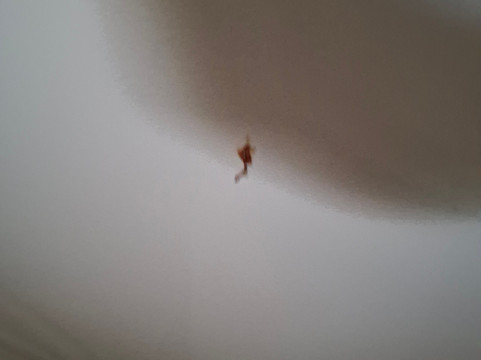 宾顿戴斯酒店主图