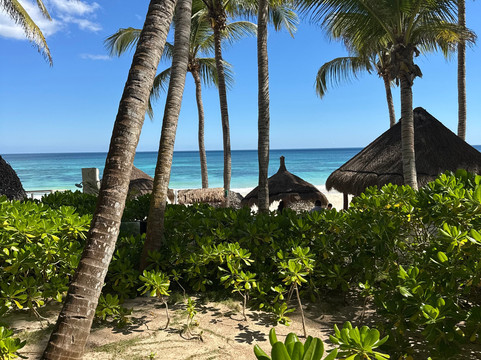 安娜何塞迷人酒店及水疗中心主图