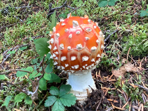 Upper Dewey Lake-史凯威必去景点