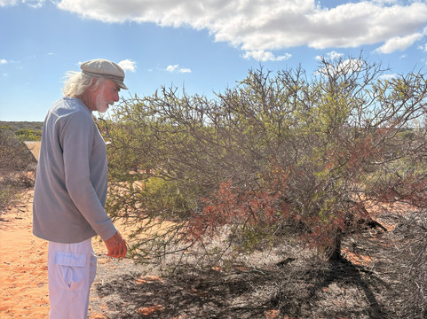 Wildsights-德纳姆必去景点