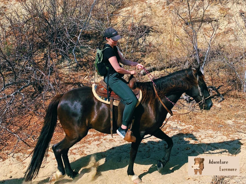 Cuadra San Francisco-洛斯卡布斯必去景点