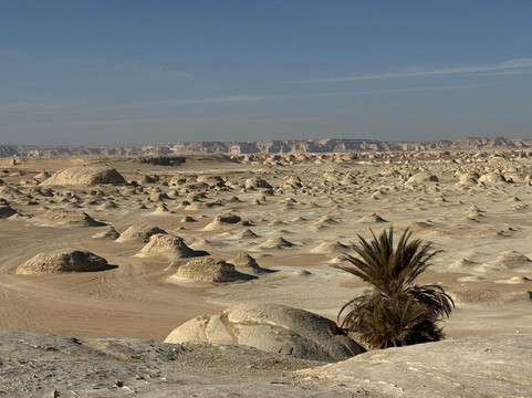 Planet Tours Egypt-开罗必去景点