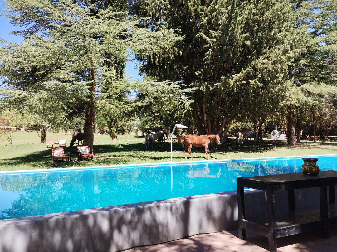 Posada San Eduardo主图