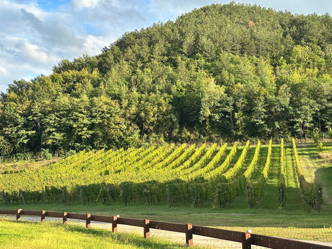 Poderi Dal Nespoli 1929-Cusercoli必去景点