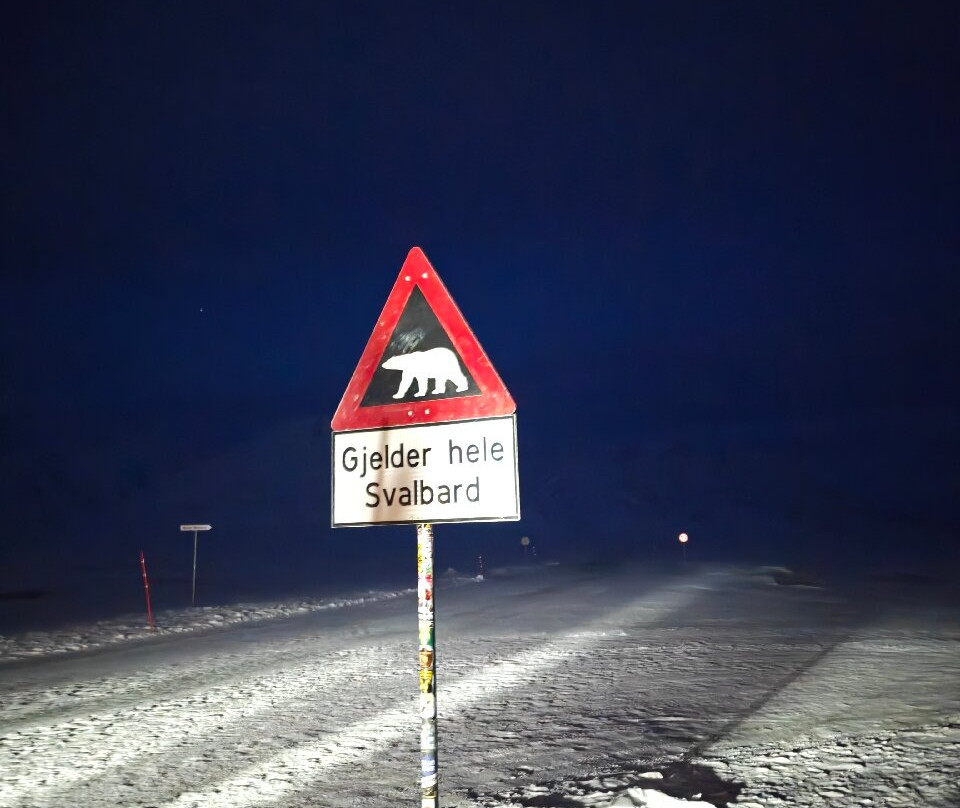 Svalbard Buss og Taxi-朗伊尔城必去景点