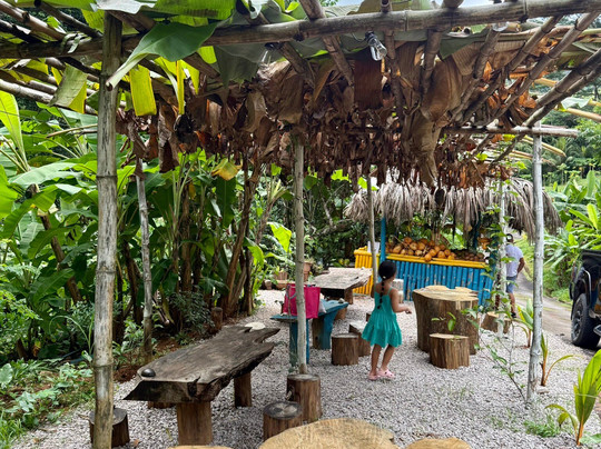 Vallée Des Fruits-大安塞区必去景点