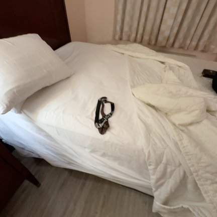 皇家旅馆酒店-官方