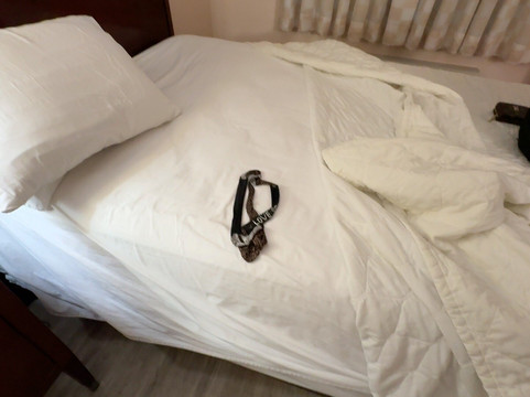 皇家旅馆酒店主图